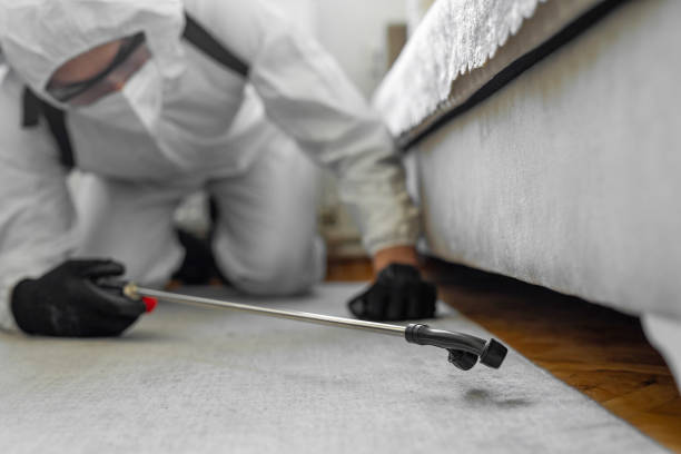 Professional Bed Bug Control technician working in Wyandot County County, OH